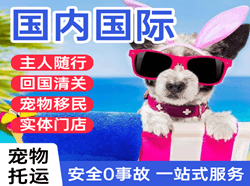 成都航空货运国际宠物托运 【国